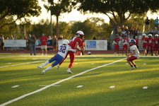 Enlarge photo 95