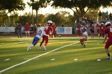 Enlarge photo 96