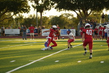 Enlarge photo 97