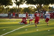 Enlarge photo 98