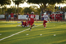 Enlarge photo 103
