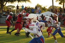 Enlarge photo 105