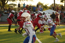 Enlarge photo 106