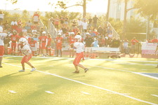 Enlarge photo 113