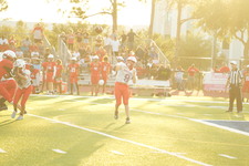 Enlarge photo 116