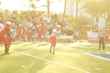 Enlarge photo 117