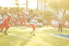 Enlarge photo 119