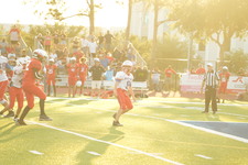 Enlarge photo 120