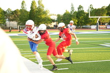Enlarge photo 132