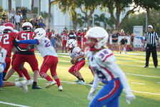 Enlarge photo 151
