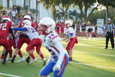 Enlarge photo 152