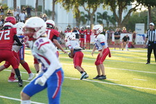 Enlarge photo 153