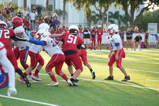 Enlarge photo 155