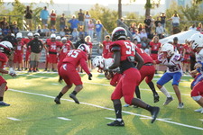 Enlarge photo 157