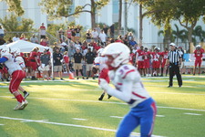 Enlarge photo 170