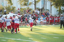 Enlarge photo 171