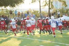 Enlarge photo 179