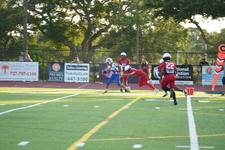 Enlarge photo 187