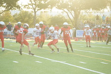 Enlarge photo 219