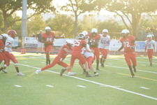 Enlarge photo 224