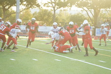 Enlarge photo 227