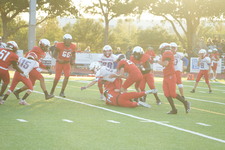 Enlarge photo 229