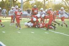 Enlarge photo 231