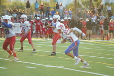 Enlarge photo 247
