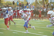 Enlarge photo 249
