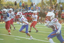 Enlarge photo 250