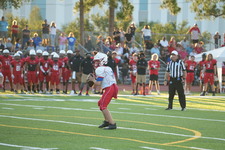 Enlarge photo 259