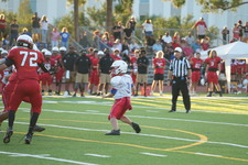 Enlarge photo 260