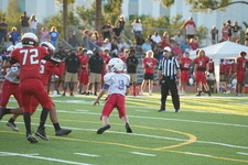 Enlarge photo 261