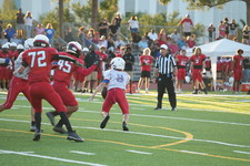 Enlarge photo 262