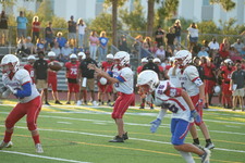 Enlarge photo 289