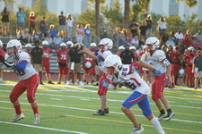 Enlarge photo 290