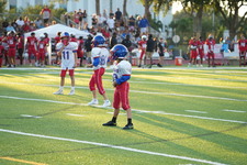 Enlarge photo 299
