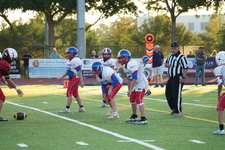 Enlarge photo 302