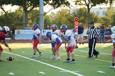Enlarge photo 305