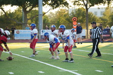 Enlarge photo 306