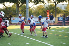 Enlarge photo 308