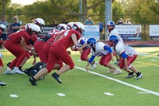 Enlarge photo 307
