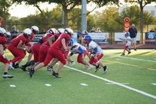 Enlarge photo 309