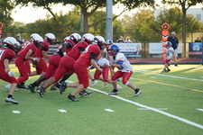 Enlarge photo 310