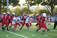Enlarge photo 311