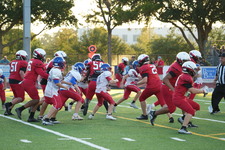 Enlarge photo 314