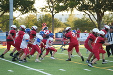Enlarge photo 313
