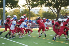 Enlarge photo 315