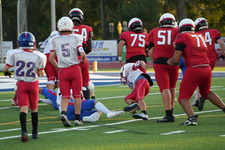 Enlarge photo 323