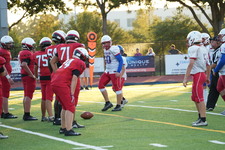 Enlarge photo 330